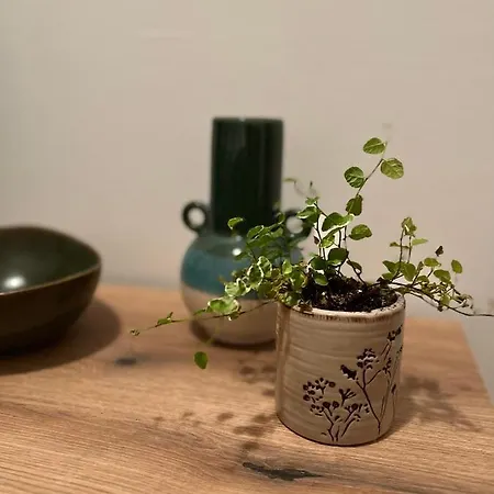 Apartamento Guest Radic 3 Palić